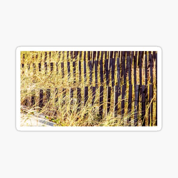 Dunes II Sticker