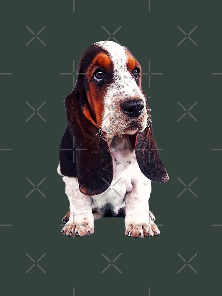 Basset hound dress best sale