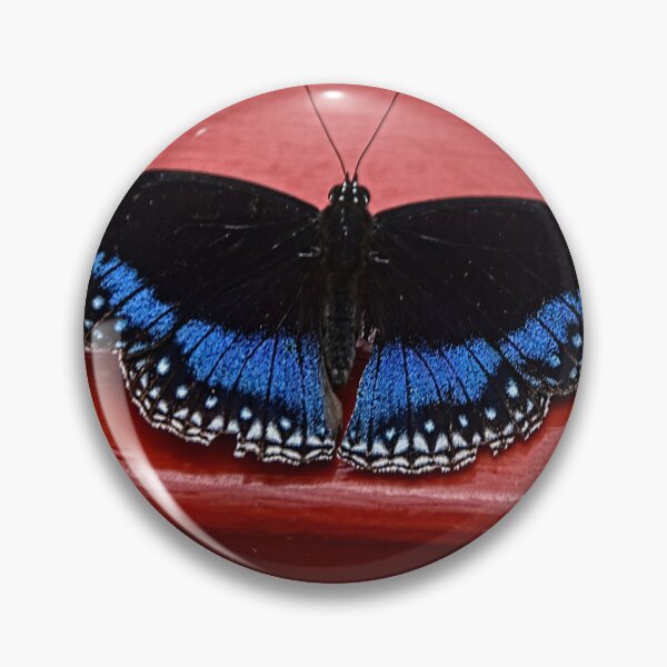 Item preview, Blue-banded eggfly designed and sold by andreisky.