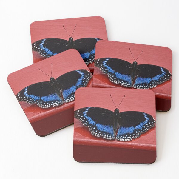 Item preview, Blue-banded eggfly designed and sold by andreisky.