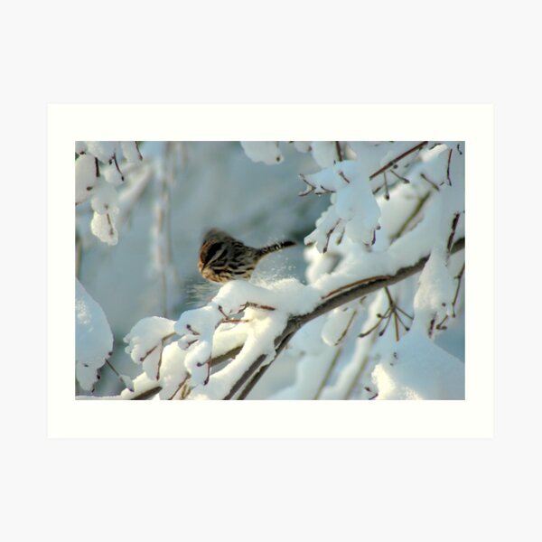 Snow Play Art Print