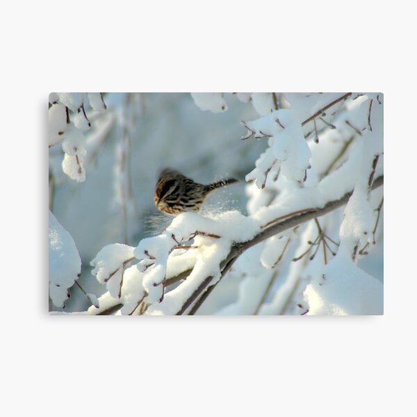Snow Play Metal Print