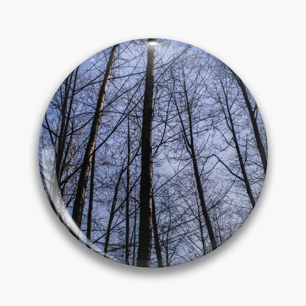 Item preview, Trees at Lynn Creek. designed and sold by Gabriele Maurus.