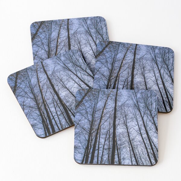 Item preview, Trees at Lynn Creek. designed and sold by Gabriele Maurus.