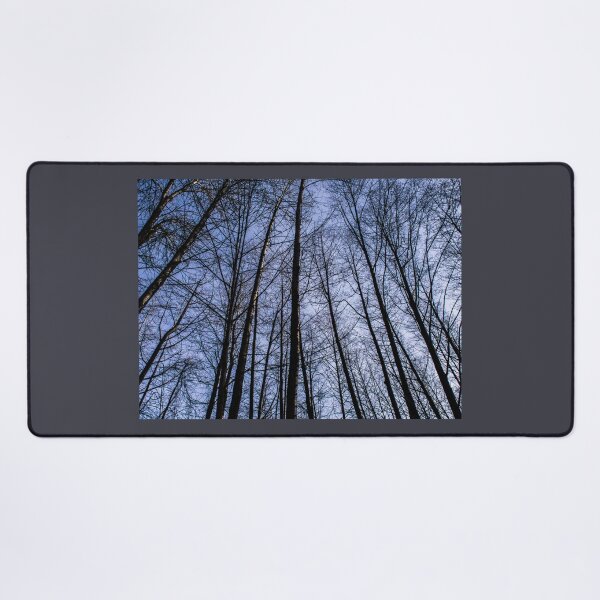 Item preview, Trees at Lynn Creek. designed and sold by Gabriele Maurus.