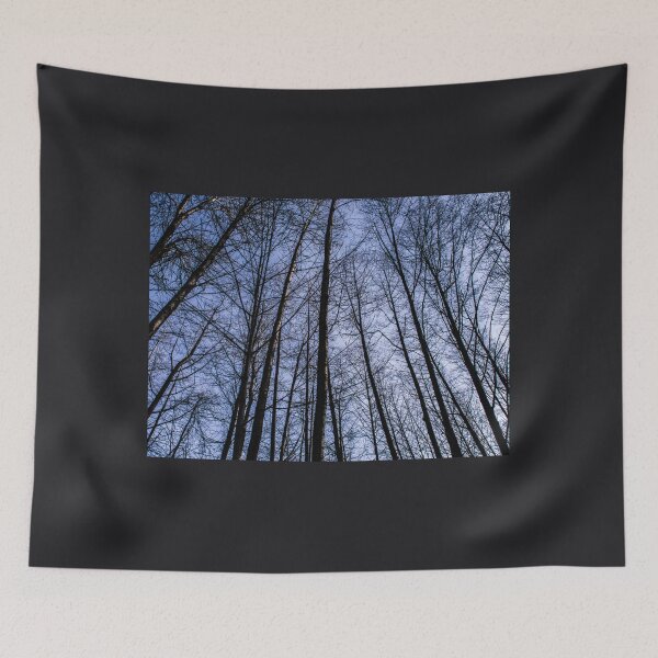 Item preview, Trees at Lynn Creek. designed and sold by Gabriele Maurus.