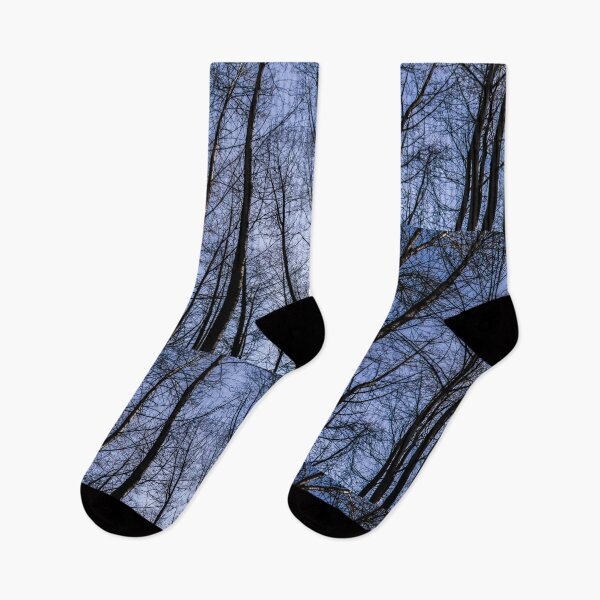 Item preview, Trees at Lynn Creek. designed and sold by Gabriele Maurus.
