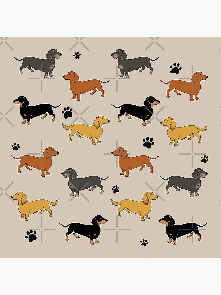 "Weenie Weenies (Dachshund Sausage Dog)" Throw Pillow for Sale by Laura