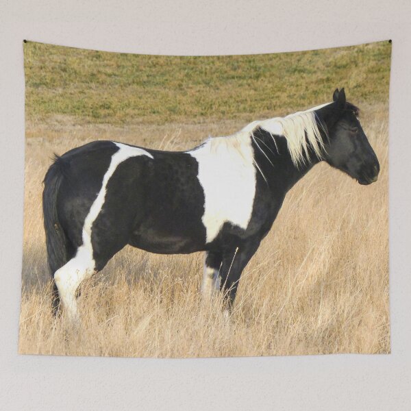 Item preview, Black And White Horse designed and sold by TheAnimalZ00.