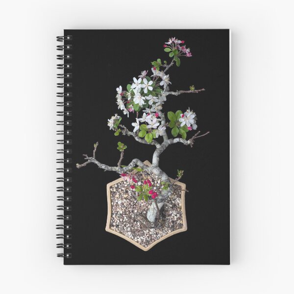 Item preview, Bonsaied crabapple designed and sold by Christopher Allen.
