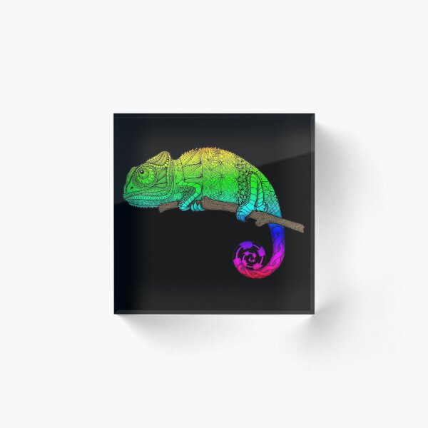 Rainbow Chameleon Acrylic Block
