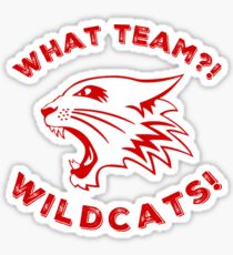 What team?! Sticker