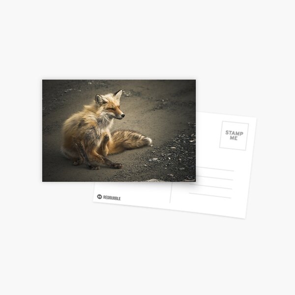 Item preview, Itchy Fox designed and sold by Colin Tobin.