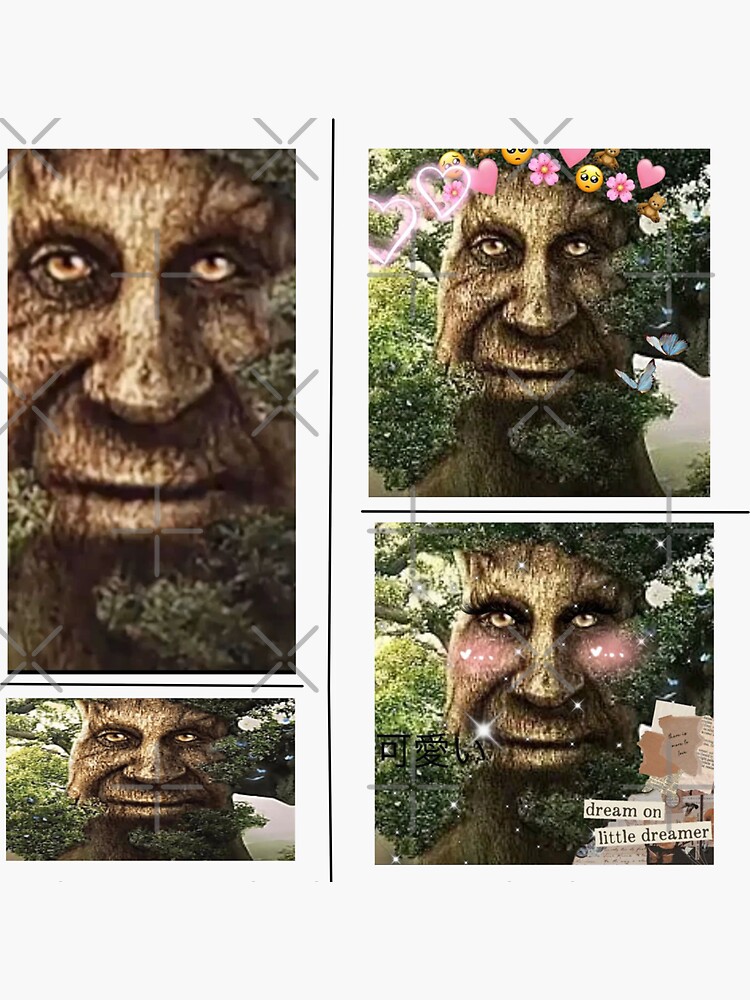 how did the wise mystical tree meme start｜TikTok Search