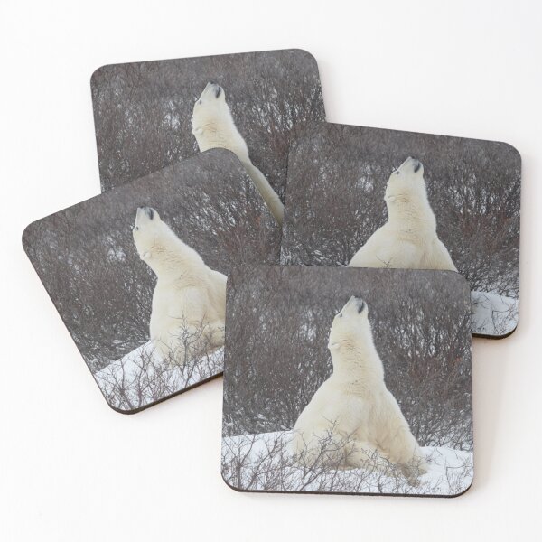 Item preview, Polar Stretch designed and sold by JONULRICH.