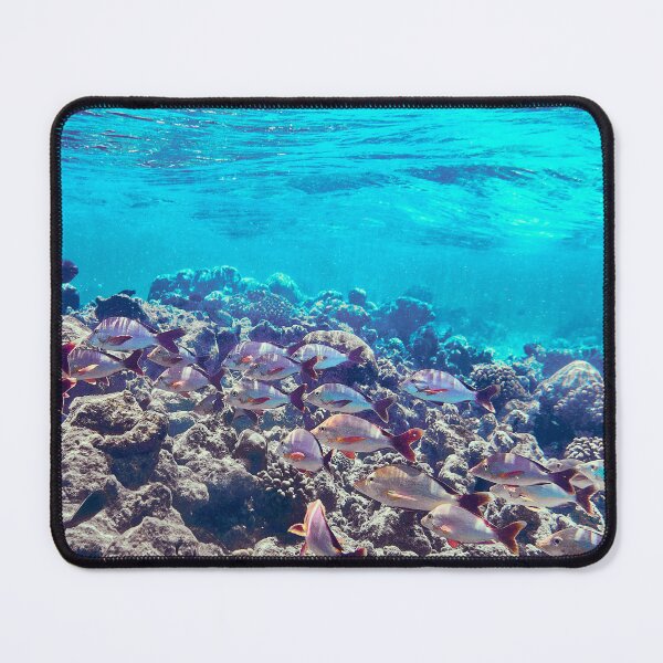 Item preview, Coral Reef in Shallow Sea designed and sold by Luxxe87.
