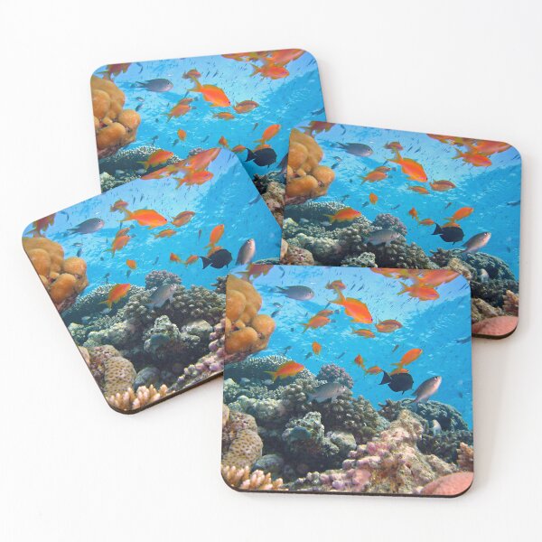 Item preview, Group of Orange Fish Living in Coral Reef designed and sold by Luxxe87.