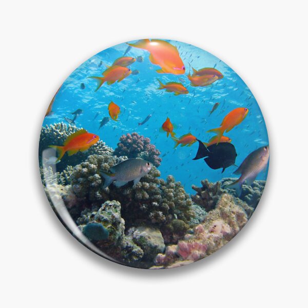 Item preview, Group of Orange Fish Living in Coral Reef designed and sold by Luxxe87.