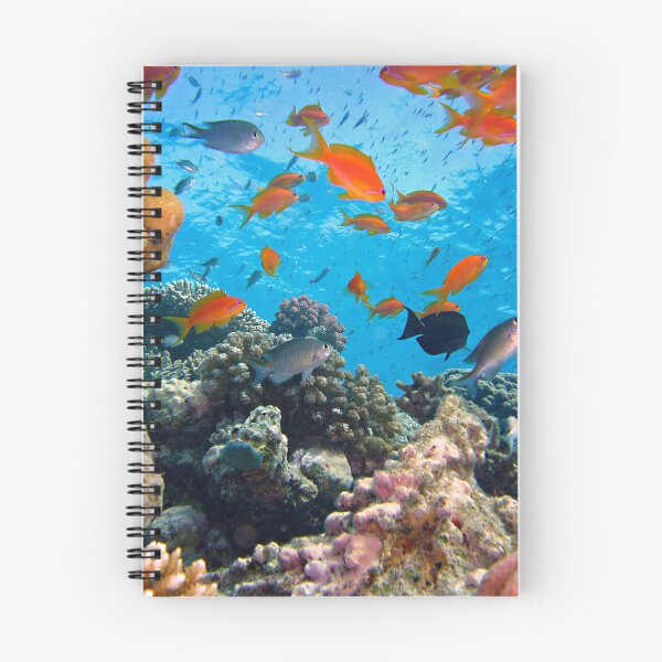 Item preview, Group of Orange Fish Living in Coral Reef designed and sold by Luxxe87.