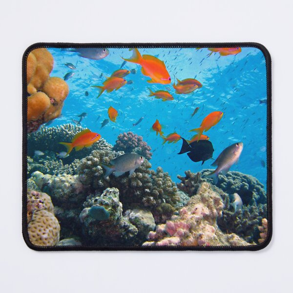 Item preview, Group of Orange Fish Living in Coral Reef designed and sold by Luxxe87.