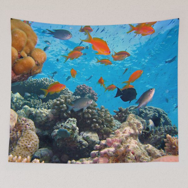 Item preview, Group of Orange Fish Living in Coral Reef designed and sold by Luxxe87.