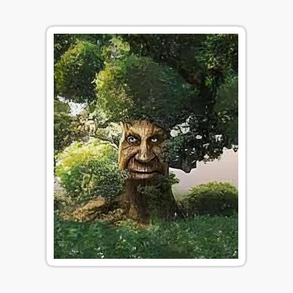 Wise Old Mystical Oak Tree Face Meme Explained, Origin And Meaning