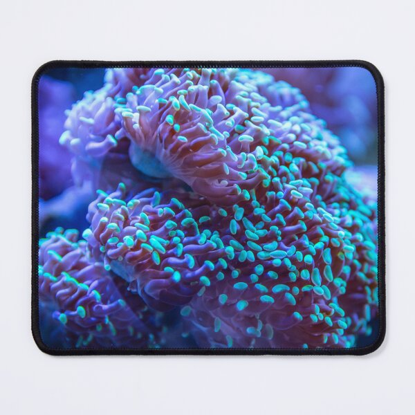Item preview, Beautiful Aquarium Anemone on Coral Reef designed and sold by Luxxe87.