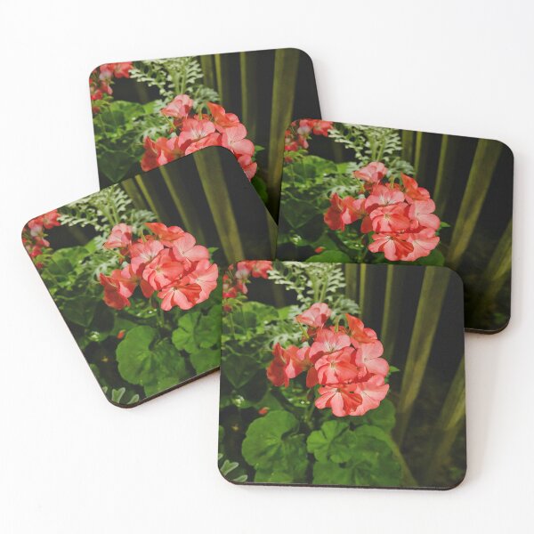 Item preview, overnight bloom designed and sold by Katie Sharp.