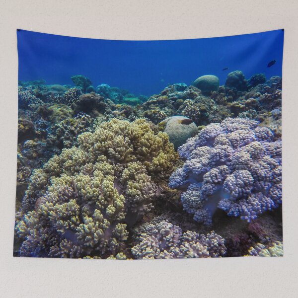 Item preview, Protected Healthy Coral Reef designed and sold by Luxxe87.