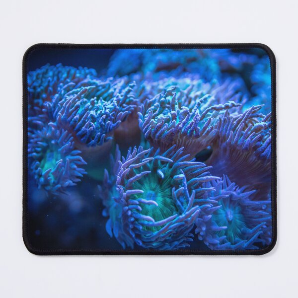 Item preview, Purple Sea Anemone on Coral Reef designed and sold by Luxxe87.