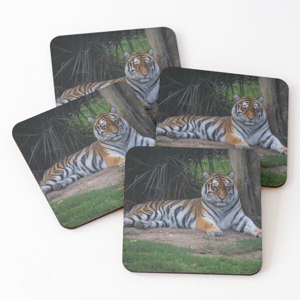 Item preview, Tiger at the Zoo designed and sold by Carlos Monteiro.