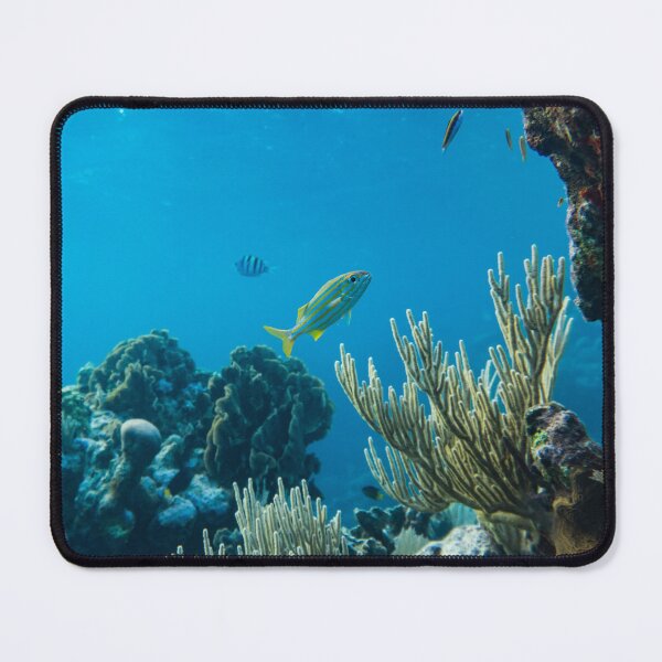 Item preview, Coral Reef with Cute Fish Living designed and sold by Luxxe87.