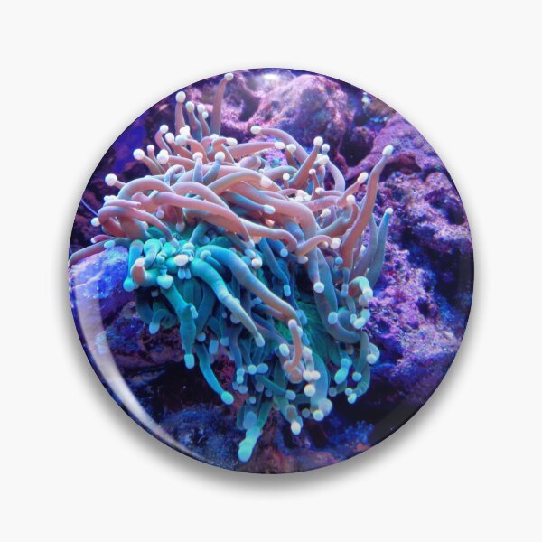Item preview, Multicolor Sea Anemone on Coral Reef designed and sold by Luxxe87.