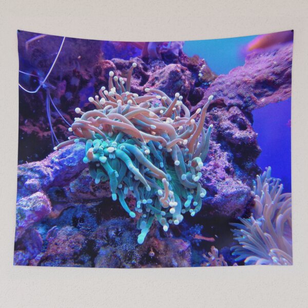 Item preview, Multicolor Sea Anemone on Coral Reef designed and sold by Luxxe87.