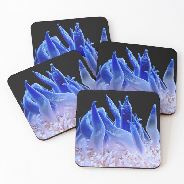 Item preview, Macro Picture of Sea Anemone on Coral Reef designed and sold by Luxxe87.