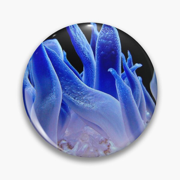 Item preview, Macro Picture of Sea Anemone on Coral Reef designed and sold by Luxxe87.