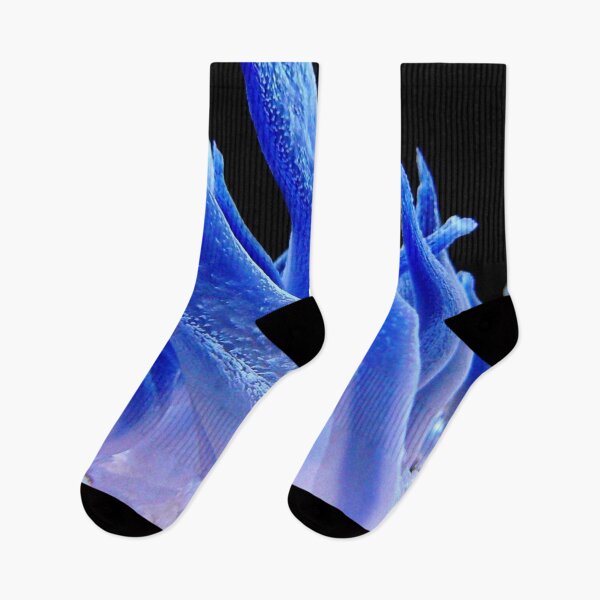 Item preview, Macro Picture of Sea Anemone on Coral Reef designed and sold by Luxxe87.