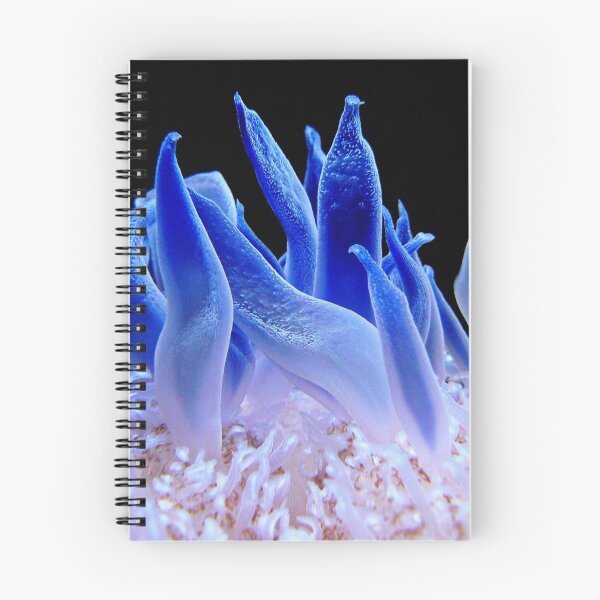Item preview, Macro Picture of Sea Anemone on Coral Reef designed and sold by Luxxe87.