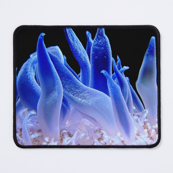 Item preview, Macro Picture of Sea Anemone on Coral Reef designed and sold by Luxxe87.