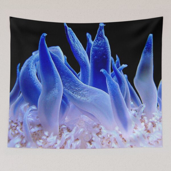 Item preview, Macro Picture of Sea Anemone on Coral Reef designed and sold by Luxxe87.