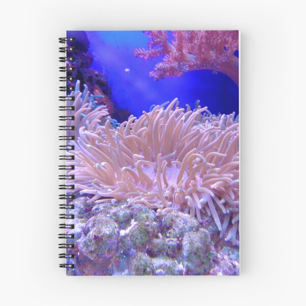 Item preview, Beauty of Sea Anemone on Coral Reef designed and sold by Luxxe87.