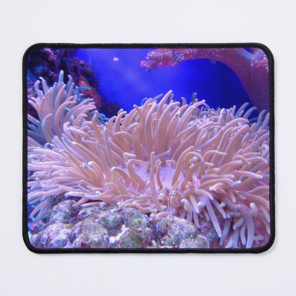 Item preview, Beauty of Sea Anemone on Coral Reef designed and sold by Luxxe87.