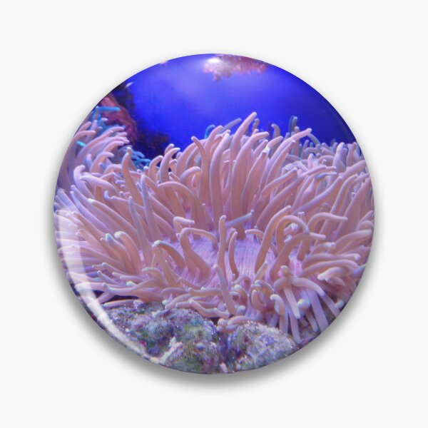 Item preview, Beauty of Sea Anemone on Coral Reef designed and sold by Luxxe87.