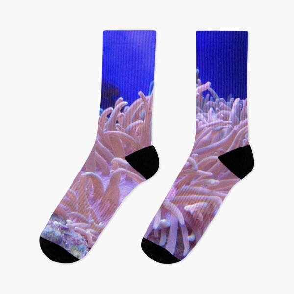 Item preview, Beauty of Sea Anemone on Coral Reef designed and sold by Luxxe87.