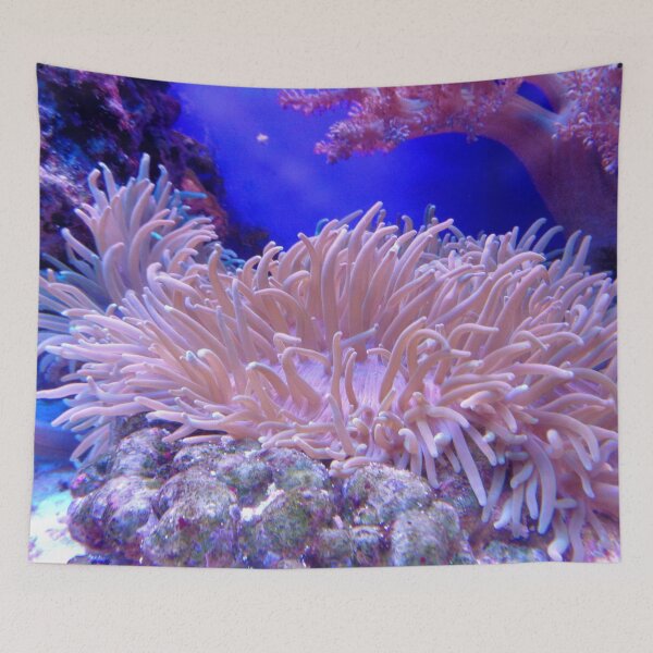 Item preview, Beauty of Sea Anemone on Coral Reef designed and sold by Luxxe87.