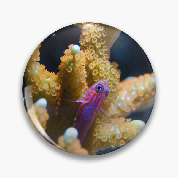 Item preview, Small Pink Fish Resting on Coral Reef designed and sold by Luxxe87.