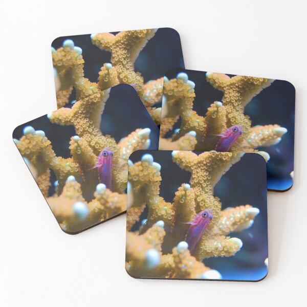 Item preview, Small Pink Fish Resting on Coral Reef designed and sold by Luxxe87.