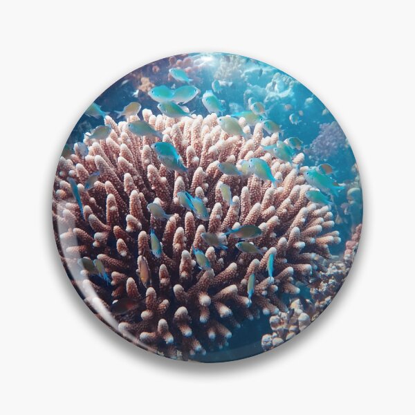 Item preview, Coral Reef Abundant of Small Fish Living  designed and sold by Luxxe87.