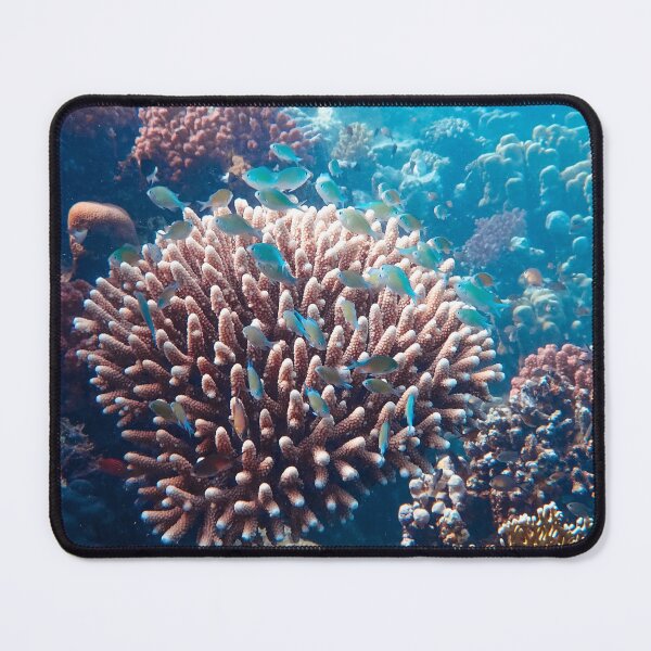 Item preview, Coral Reef Abundant of Small Fish Living designed and sold by Luxxe87.