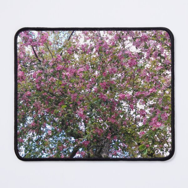 Item preview, Spring blossoms in the garden designed and sold by Raigitam.